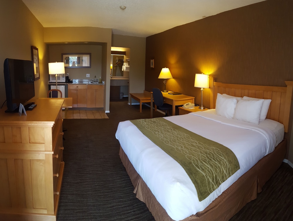 econo lodge inn and suites