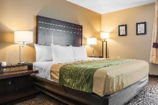 spark by hilton fort wayne