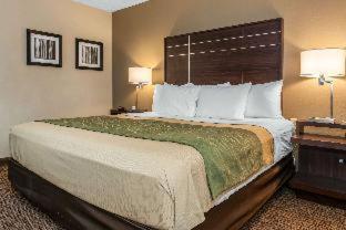 spark by hilton fort wayne