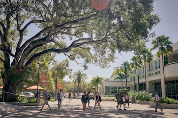 thesis hotel miami coral gables curio collection by hilton