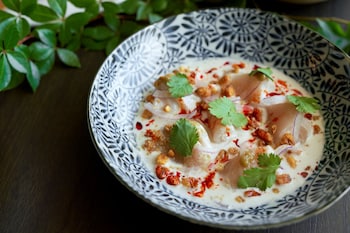 thesis hotel miami coral gables curio collection by hilton