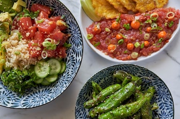 thesis hotel miami coral gables curio collection by hilton