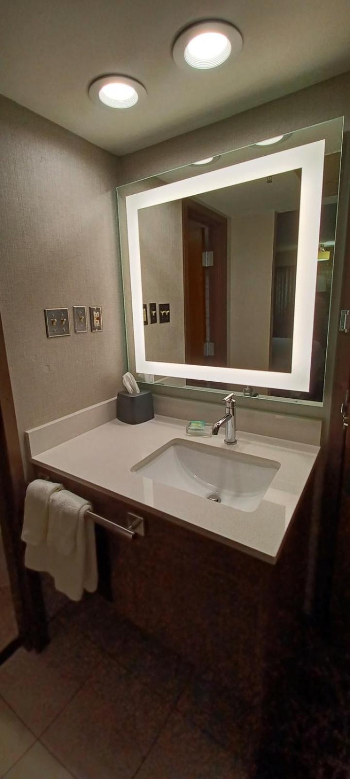 holiday inn mcallen medical center area