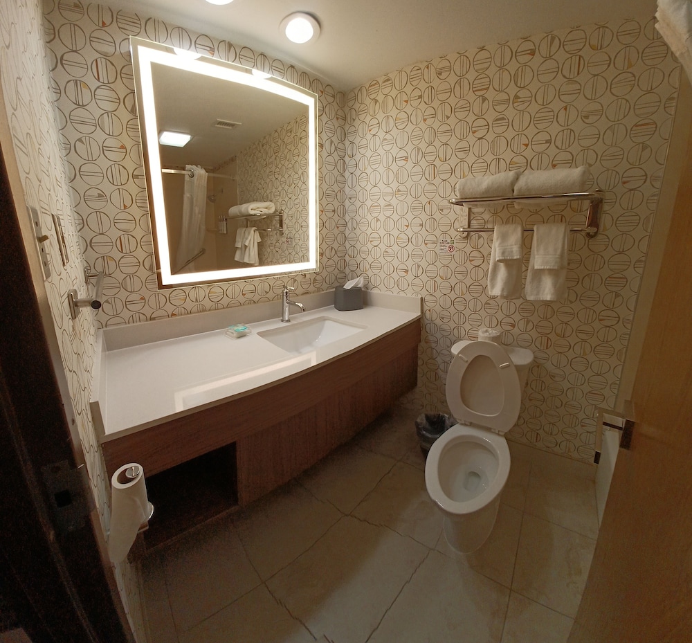 holiday inn mcallen medical center area