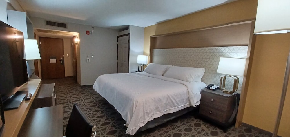 holiday inn mcallen medical center area