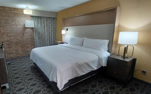 holiday inn mcallen medical center area