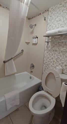 holiday inn mcallen medical center area