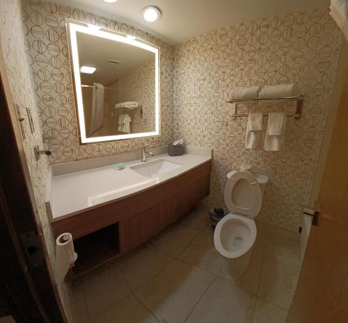 holiday inn mcallen medical center area