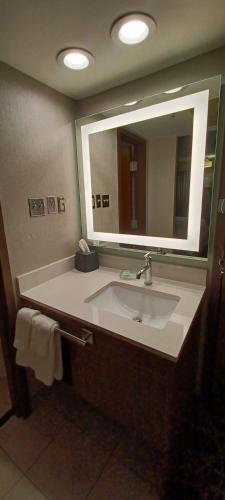 holiday inn mcallen medical center area