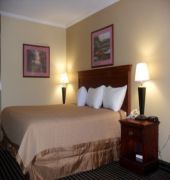 best western mckenzie