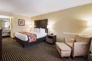 best western mckenzie