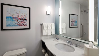 hilton garden inn merrillville