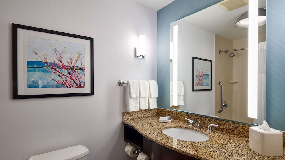 hilton garden inn merrillville