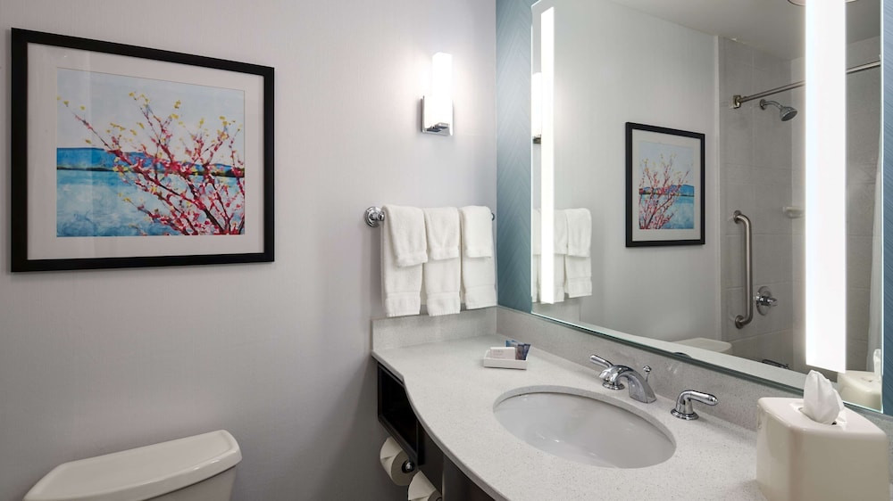hilton garden inn merrillville