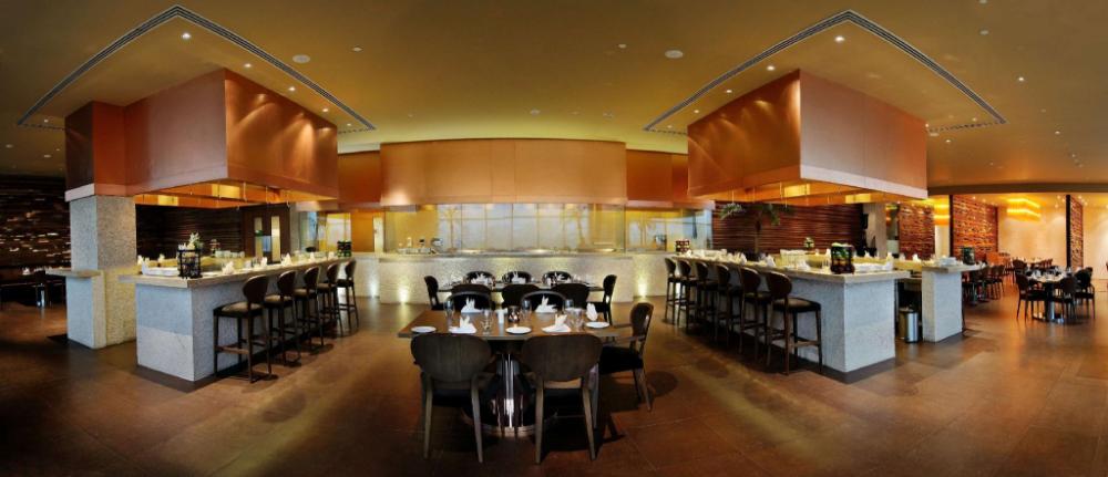 radisson blu hotel new delhi paschim vihar