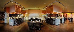 radisson blu hotel new delhi paschim vihar