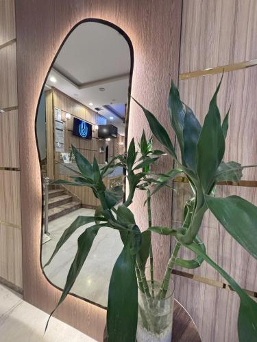 al mayar hotel
