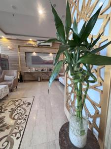 al mayar hotel