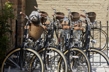 The Wheeler Mansion,South Loop>>Chicago,4 star