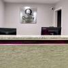 quality inn and suites