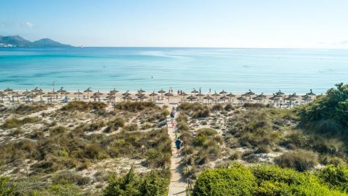 grupotel natura playa