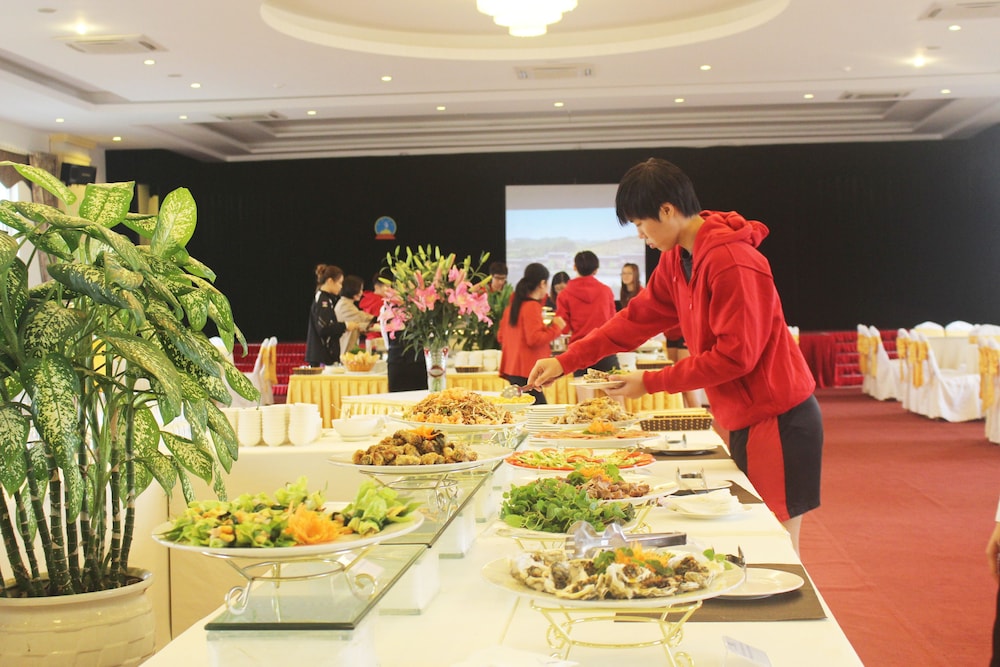 hoang son peace hotel