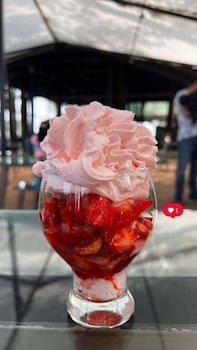 Mountain Berries Resort,,2 star