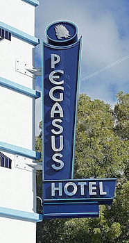 pegasus international hotel