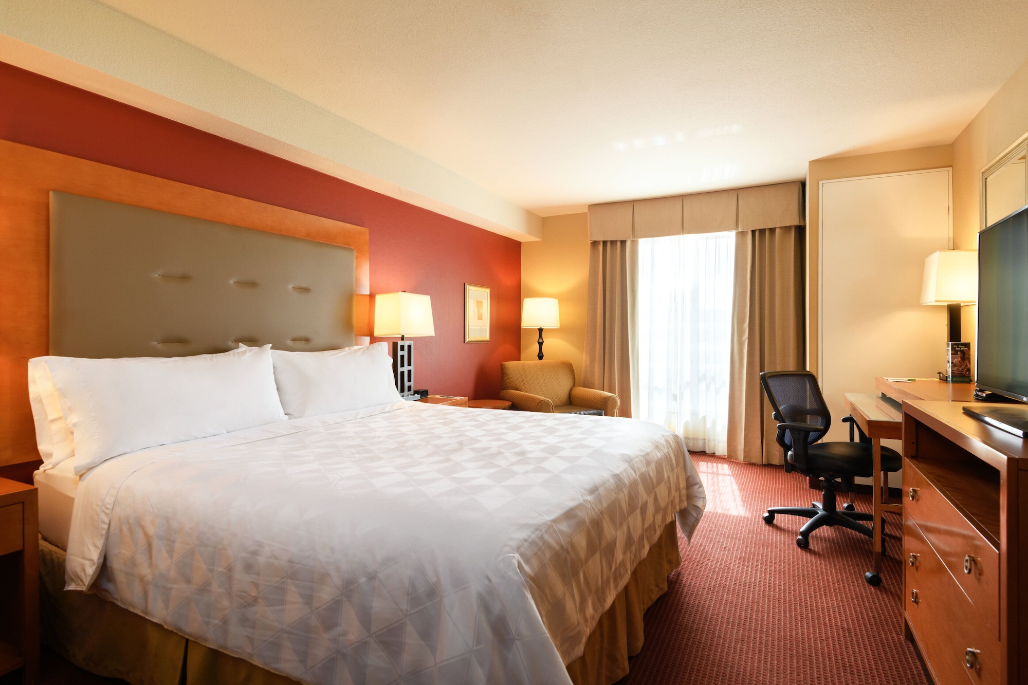 holiday inn and suites oakland airport by ihg