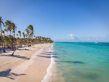hyatt vivid punta cana adults only