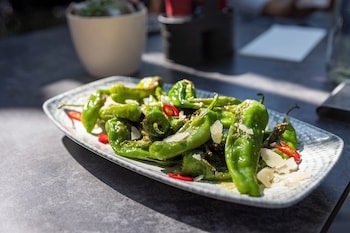 mister highland hotel