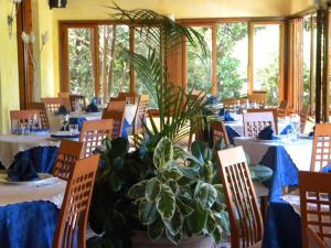 hotel la rosa del tirreno