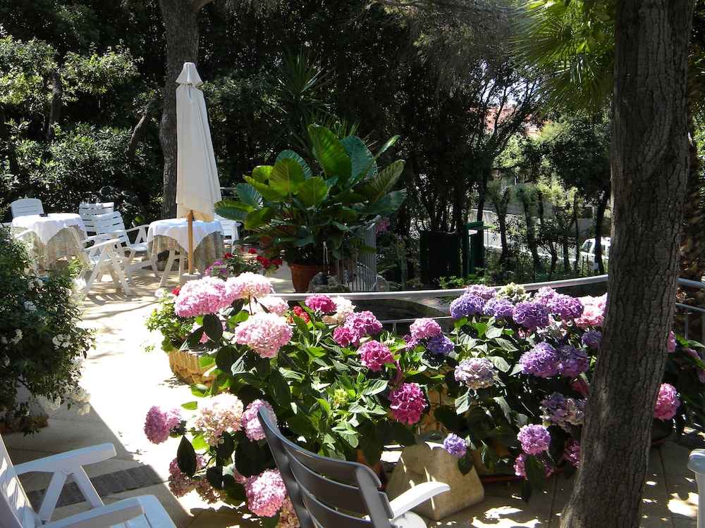 hotel la rosa del tirreno