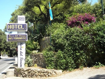 hotel la rosa del tirreno