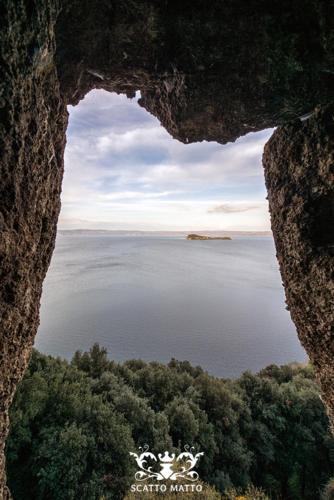 montefiascone