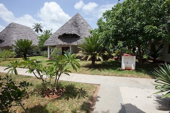 jaz adonia beach resort