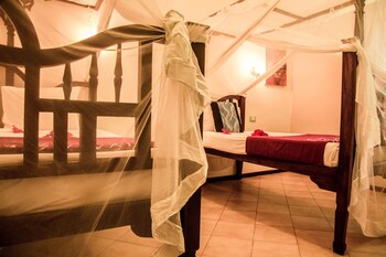 jaz adonia beach resort
