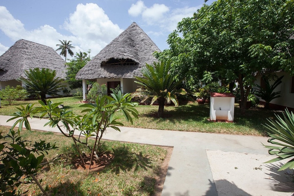jaz adonia beach resort