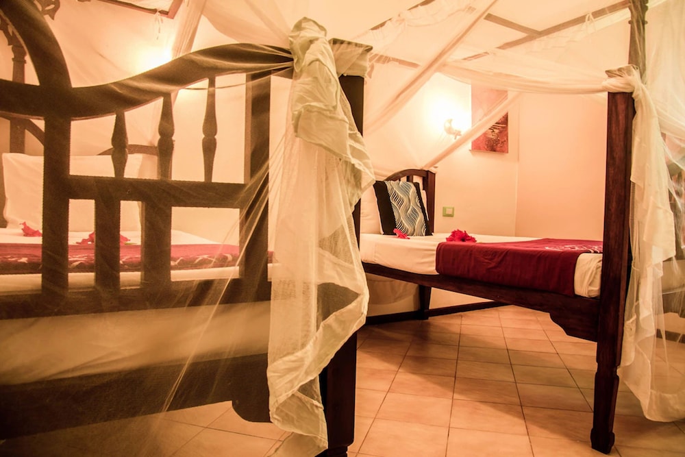 jaz adonia beach resort