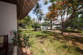 jaz adonia beach resort