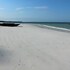 jaz adonia beach resort