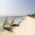 jaz adonia beach resort