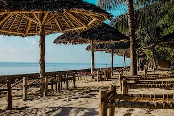 jaz adonia beach resort