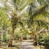 jaz adonia beach resort