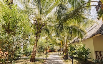 jaz adonia beach resort