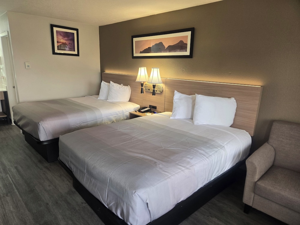 quality inn and suites