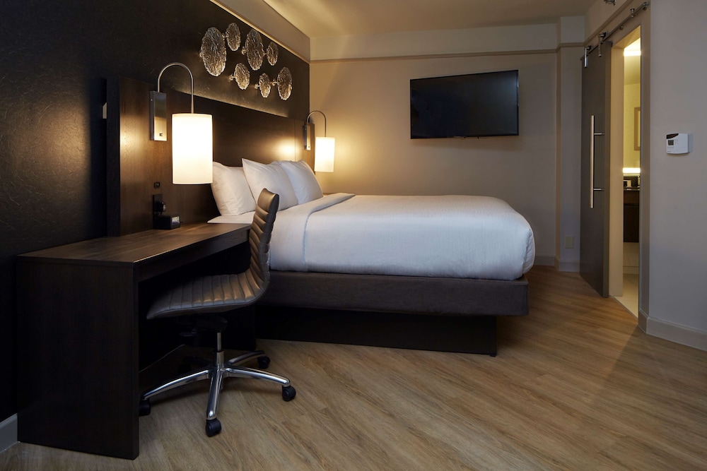 embassy suites by hilton atlanta galleria