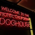 doghouse hotel and brewery