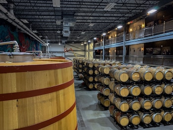 doghouse hotel and brewery