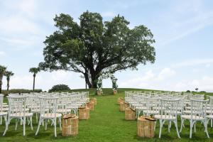 the belgrove resort and spa west palm beach autograph collection